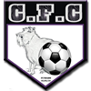 CAPIVARA FC